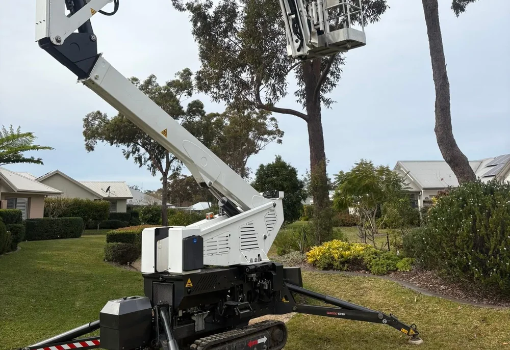 Spider lift (EWP) set up to remove a tree on a tight block