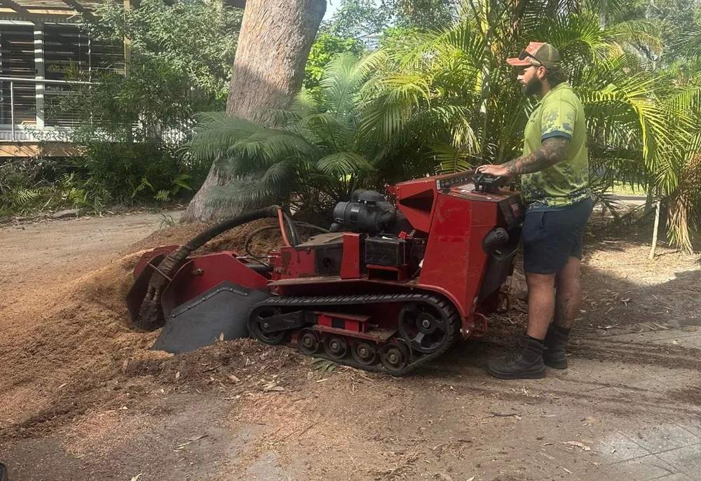 Stump grinder removing a stump in a backyard