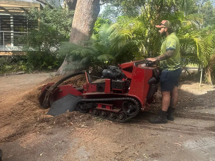 Worker grinding a stump with a tracked stump grinder