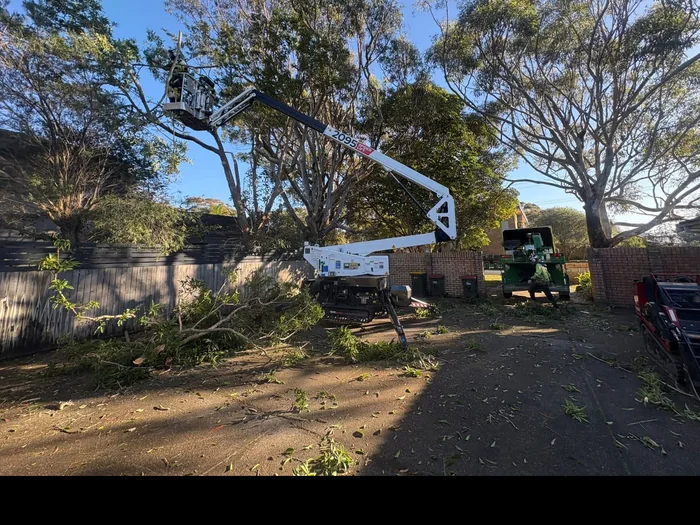 Block cleared of trees and undergrowth