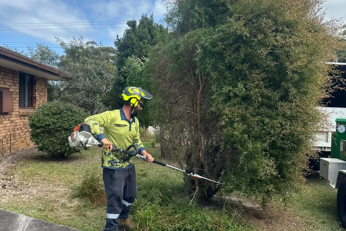 Crew tidying and trimming trees and greenery on a property