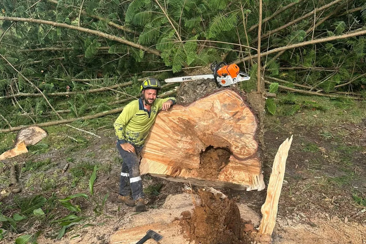 Worker grinding a stump down below ground level